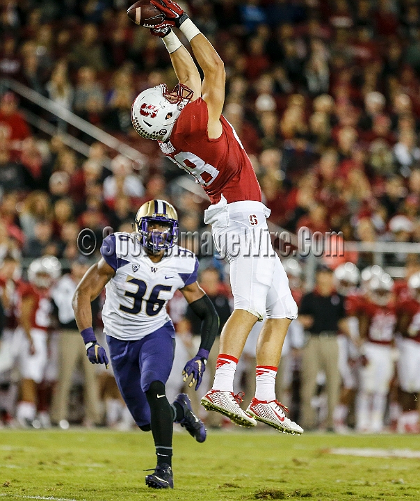 2015StanWash-061.JPG - Oct 24, 2015; Stanford, CA, USA; Stanford Cardinal tight end Greg Taboada (88) catches a 18 yard pass in the third quarter against the Washington Huskies at Stanford Stadium. Stanford beat Washington 31-14.